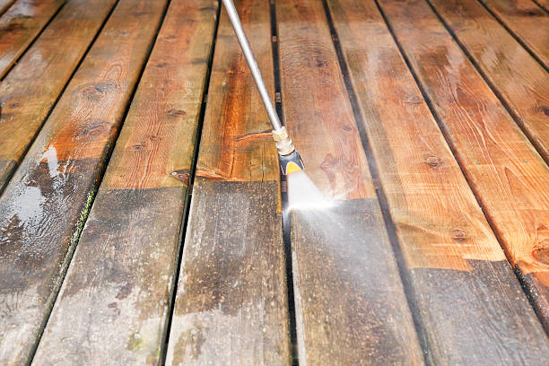 Animal Enclosure Cleaning in Redland, AL
